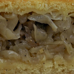 Пирог с капустой и грибами пес/дрож